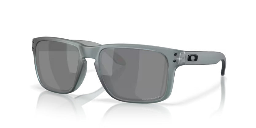 Oakley Holbrook Matte Crystal Black_Prizm Black Polarised